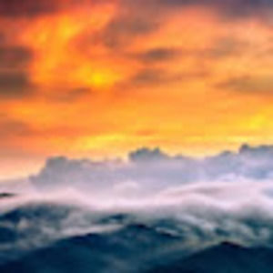 Meet your Posher, Kenny